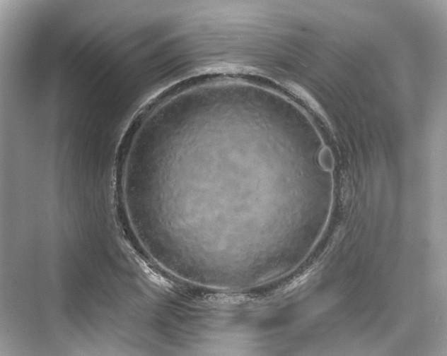 X0000073930831200608111158