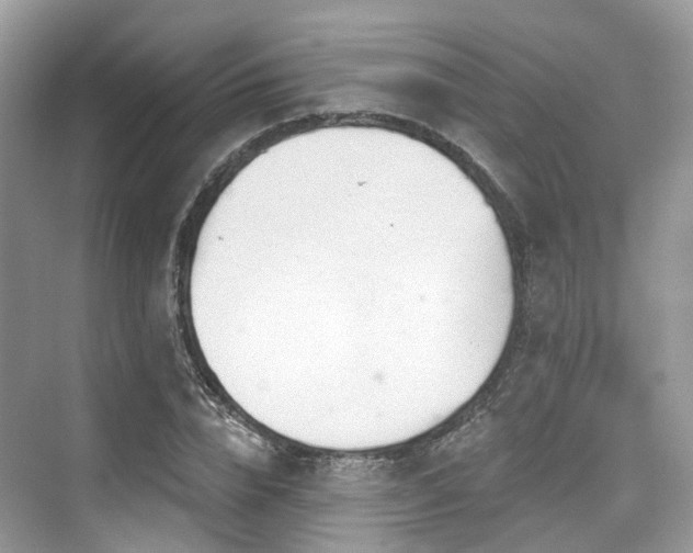 X0000073930832200608111158