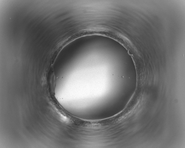 X0000073930833200608111158