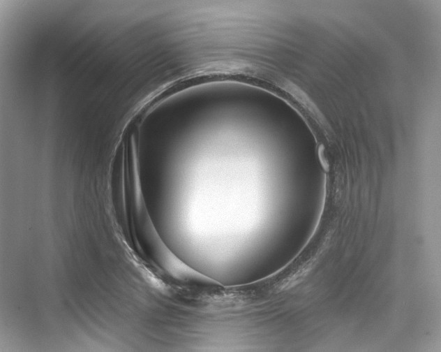 X0000073930834200608111158