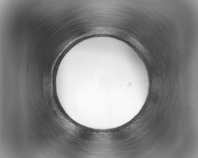 X0000073930836200608111158