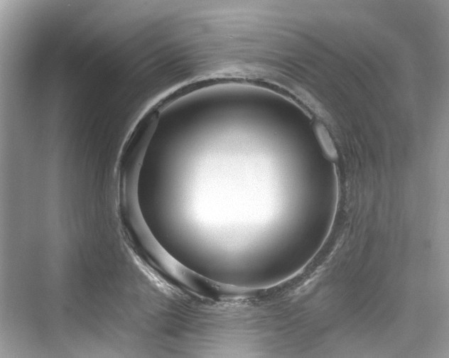 X0000073930838200608111158