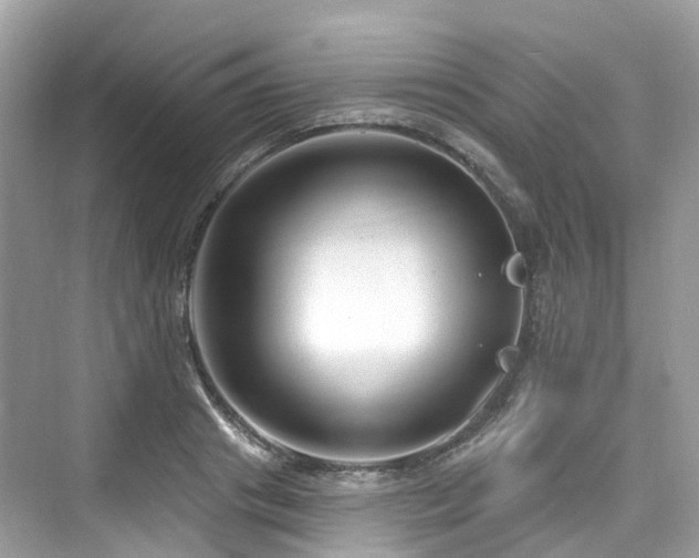 X0000073930841200608111158