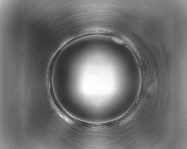 X0000073930843200608111158