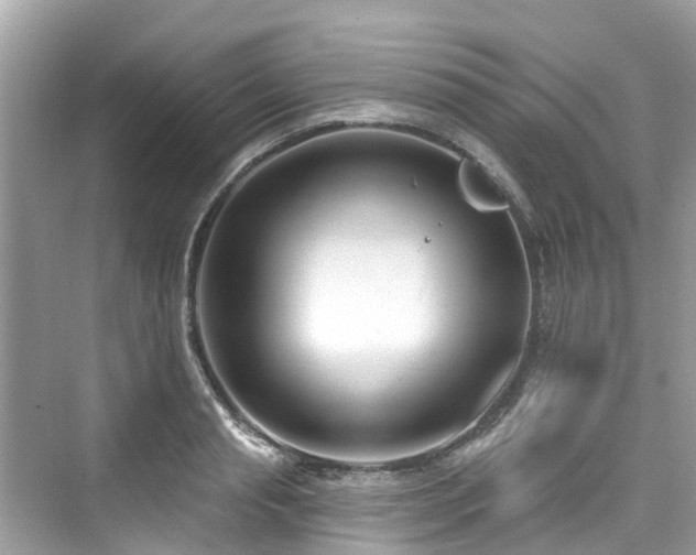 X0000073930845200608111158