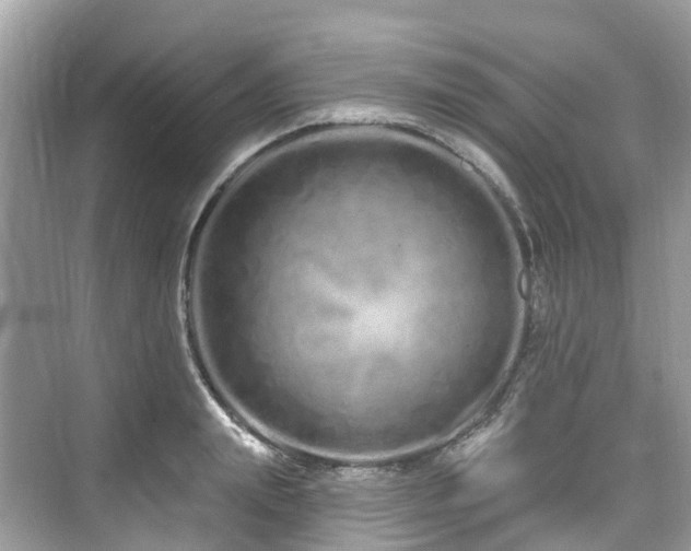 X0000073930847200608111158