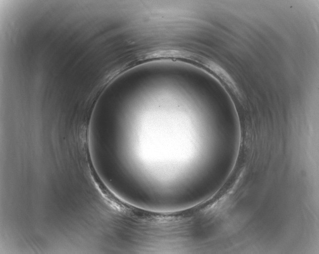 X0000073930849200608111158