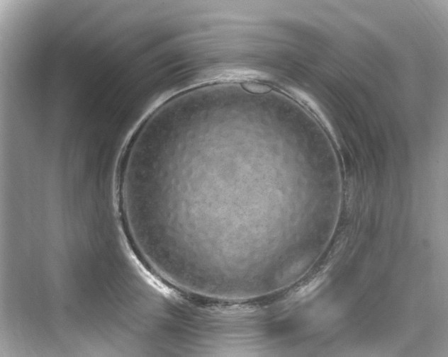 X0000073930851200608111158