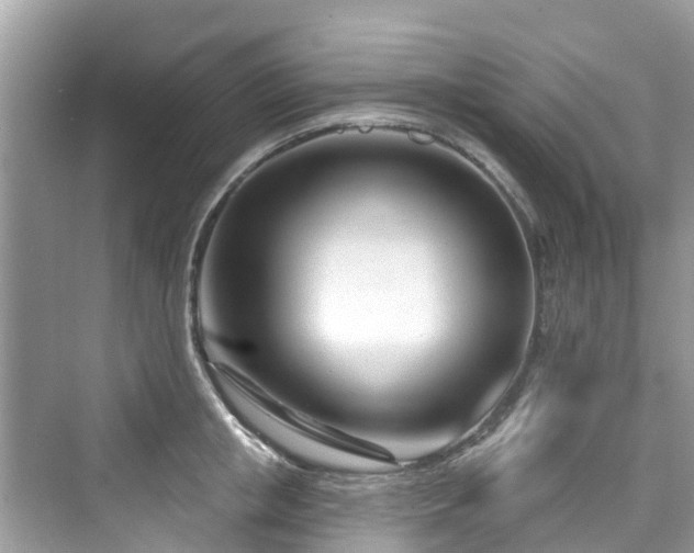 X0000073930853200608111158