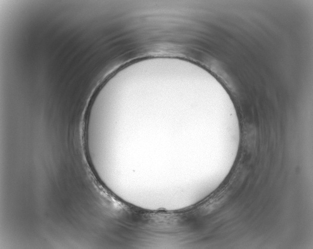 X0000073930856200608111158