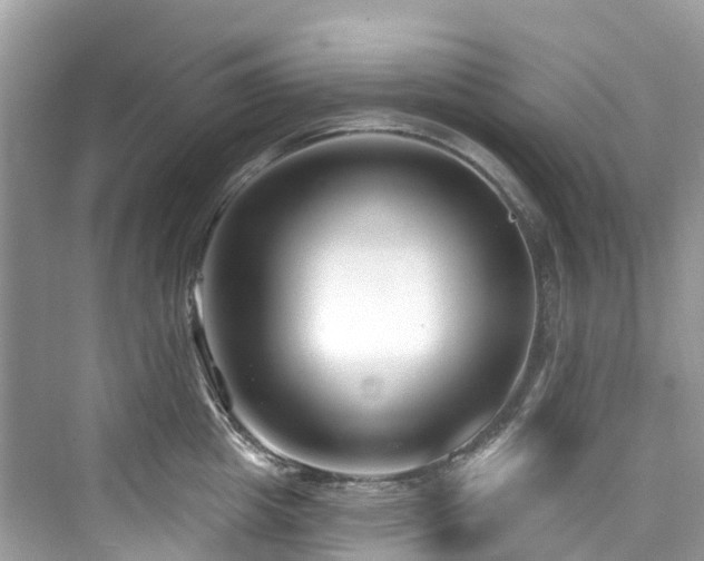 X0000073930857200608111158