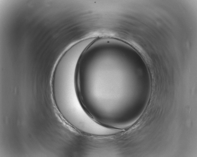 X0000073930864200608111158