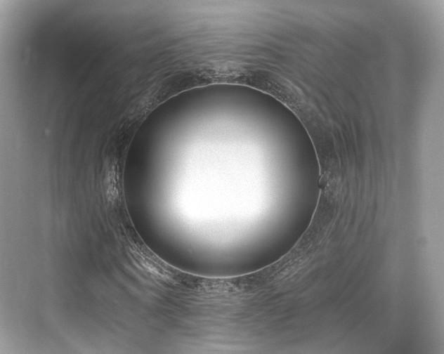 X0000073930866200608111158