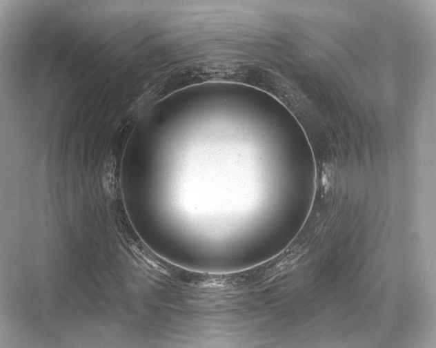 X0000073930867200608111158