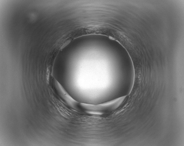 X0000073930868200608111158