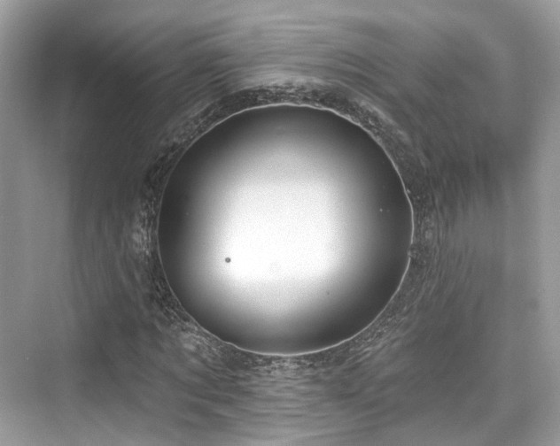 X0000073930869200608111158