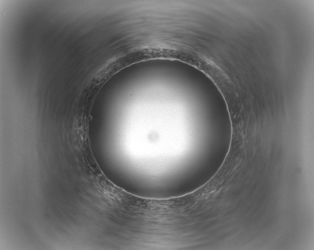 X0000073930870200608111158