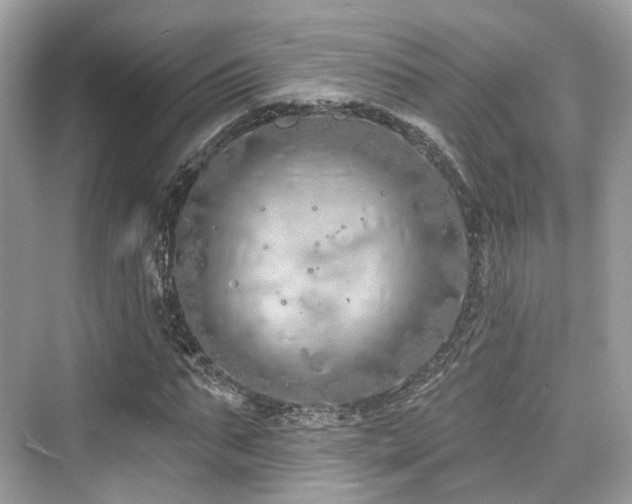 X0000073930871200608111158