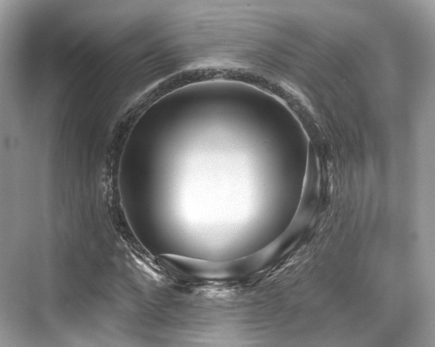 X0000073930872200608111157