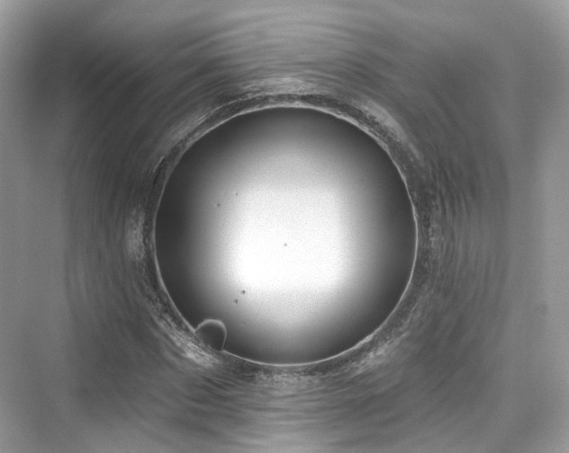 X0000073930873200608111157