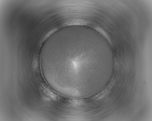 X0000073930874200608111157