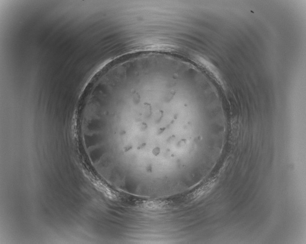 X0000073930875200608111157