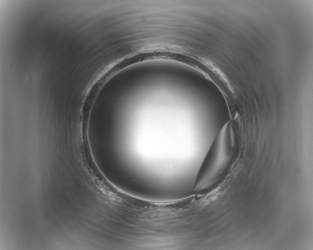 X0000073930877200608111157