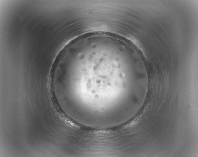 X0000073930879200608111157