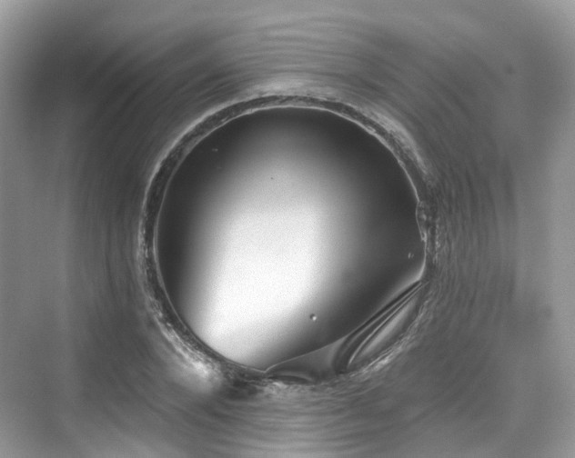 X0000073930880200608111157