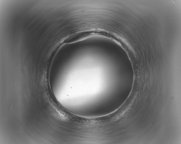 X0000073930881200608111157