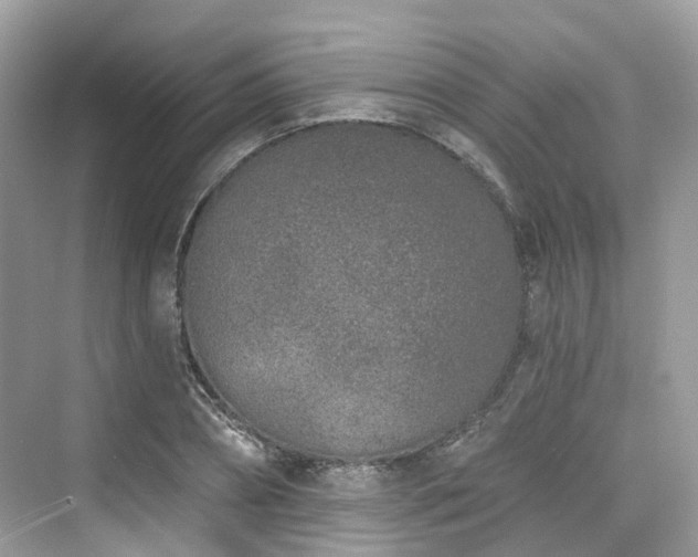 X0000073930882200608111157