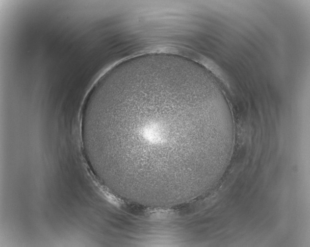 X0000073930886200608111157