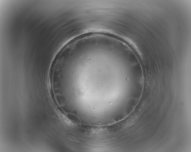 X0000073930887200608111157