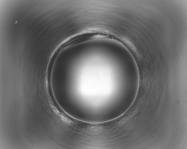 X0000073930888200608111157