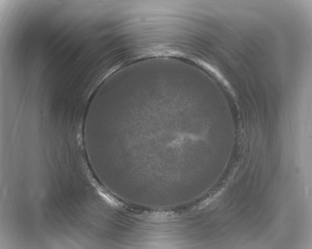 X0000073930889200608111157