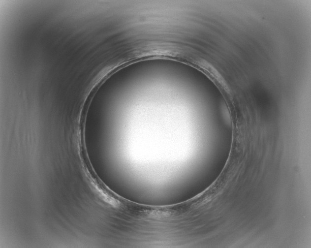 X0000073930890200608111157