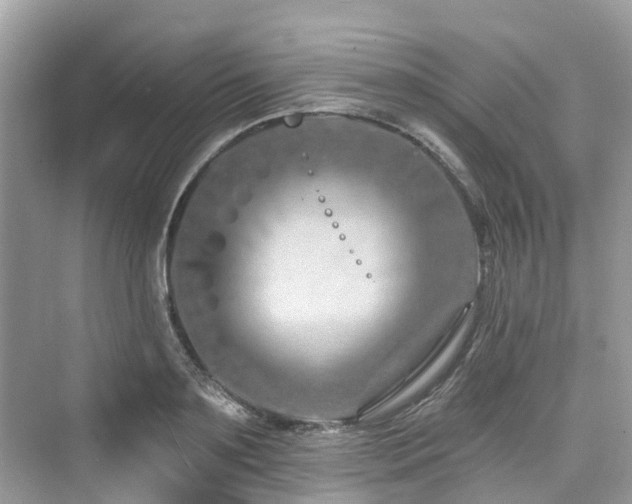 X0000073930891200608111157