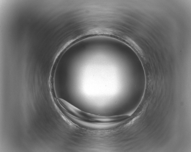 X0000073930893200608111157