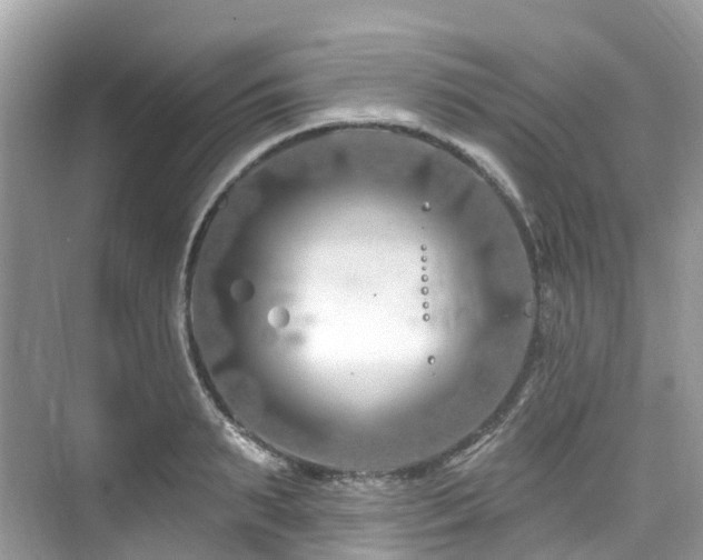 X0000073930895200608111157