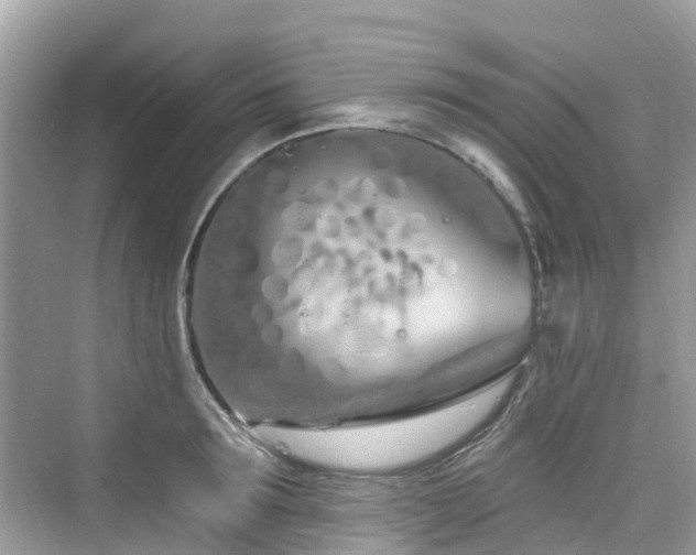 X0000073930899200608111157