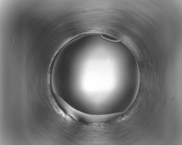 X0000073930900200608111157