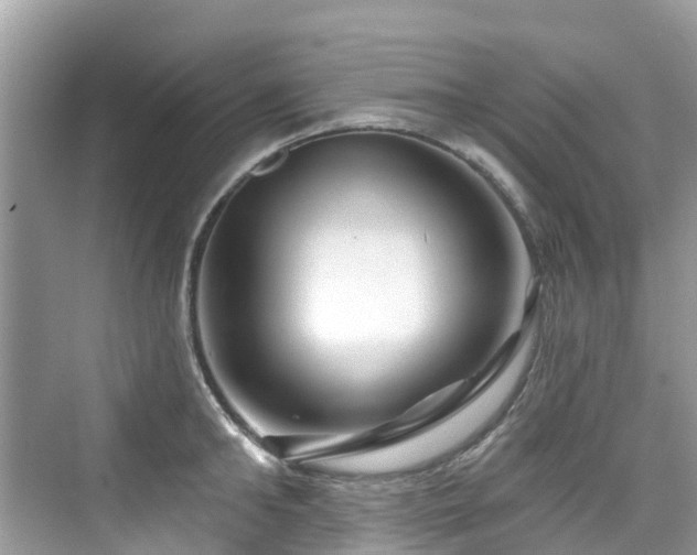 X0000073930902200608111157