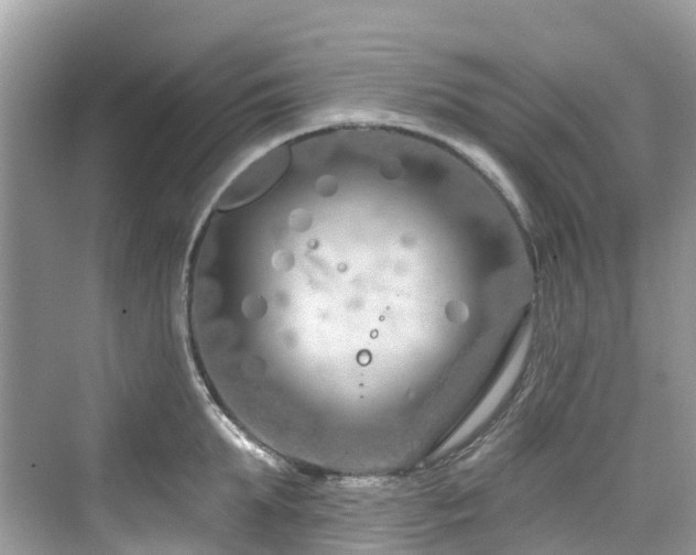 X0000073930903200608111157