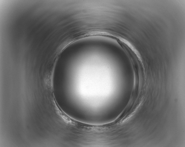 X0000073930905200608111157