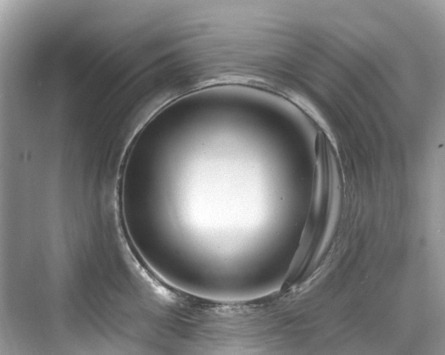 X0000073930906200608111157