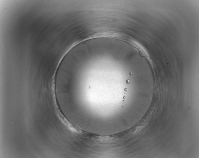 X0000073930907200608111157