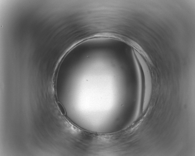 X0000073930908200608111157