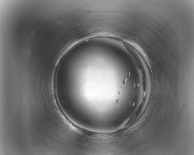 X0000073930910200608111157