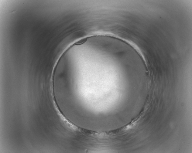 X0000073930911200608111157