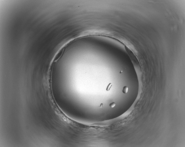 X0000073930912200608111157